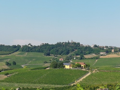 BAG IN BOX 5lt "vino rosso La valle"- Cascina San Siro - Foto 4 di 5