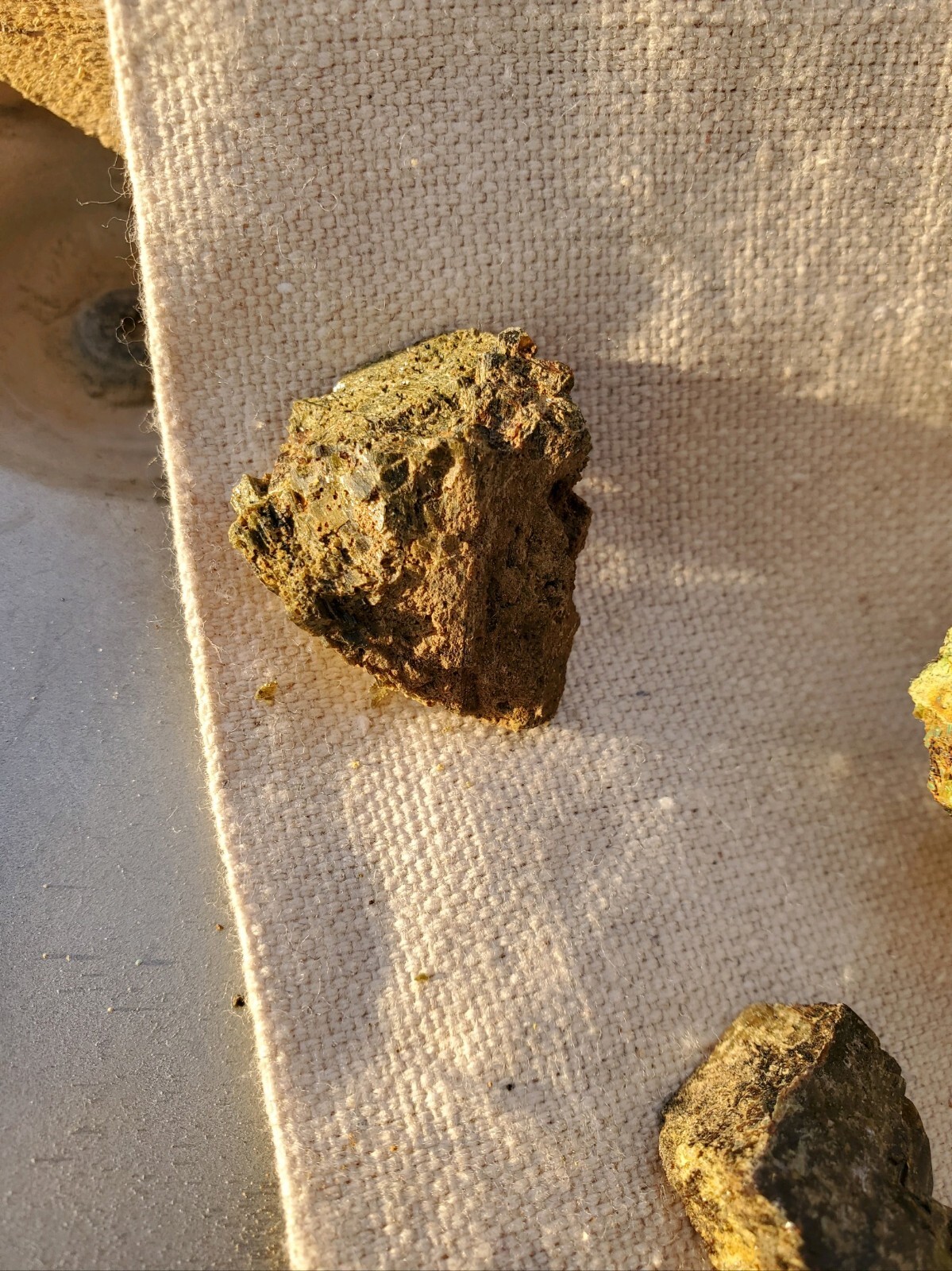 Steiner Mine near Lovelock Nevada Silver Gold Mining Claim with Big