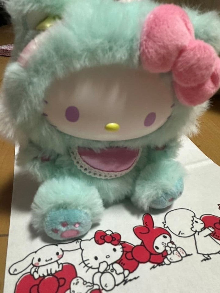 Sanrio Hello Kitty Fine Face Mascot eBay