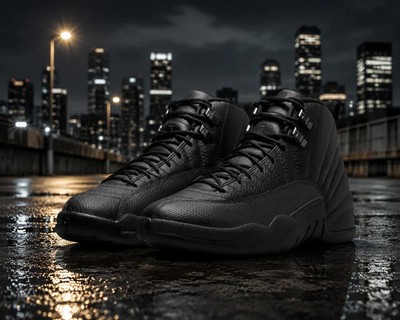 Jordan 12 Black Cat CT8013-010 MEN'S SIZE US 7-12
