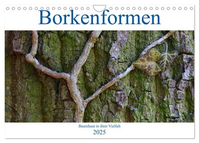 Borkenformen (Wandkalender 2025 DIN A4 quer), CALVENDO Monatskalender