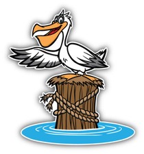 Funny Pelican Car Bumper Sticker Decal - ''SIZES''