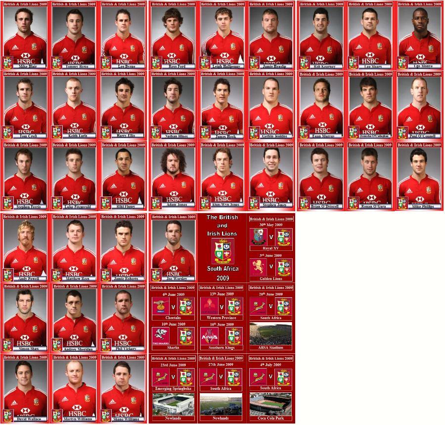 その他 THE BRITISH & IRISH LIONS British and Irish Lions tour of South Africa 2009 Rugby Trading