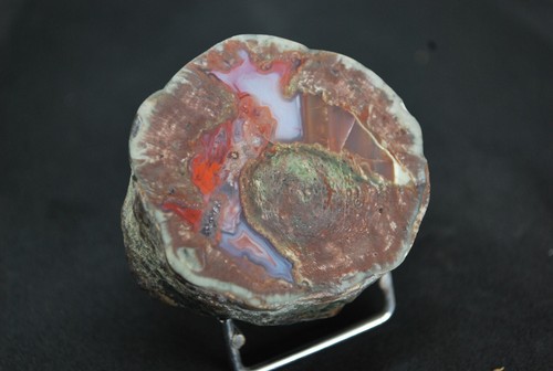 AGATES DE FRÉJUS ( VAR ) LITHOPHYSES DE L'ESTEREL - Imagen 2 de 4