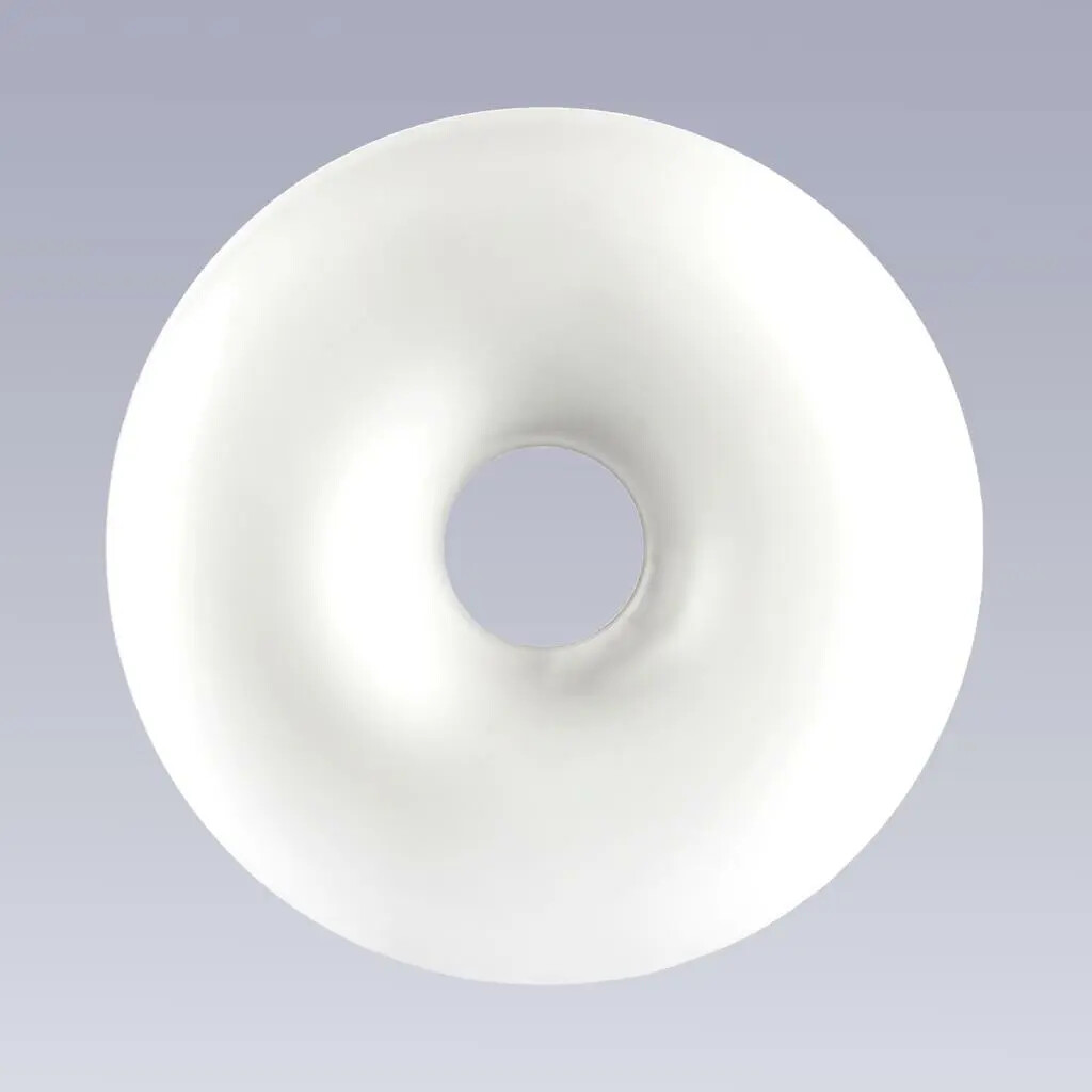 Pessary Donut Bioteque America — image 2