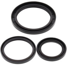 Se adapta a Yamaha YFM250 2005 Bruin sello diferencial solo kit todas las bolas 25-2033-5