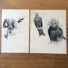 2 Dessins Originaux Signés Fusain Fusain Oiseaux Rapaces Aigle Original Drawing