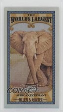 2021 Topps Allen & Ginter Chrome Mini World's Largest African Elephant 0i2d