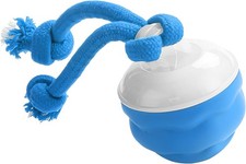 Wynsylis Interactive Dog Ball, Blue USB-C Rechargeable Rolling Toy (Blue)