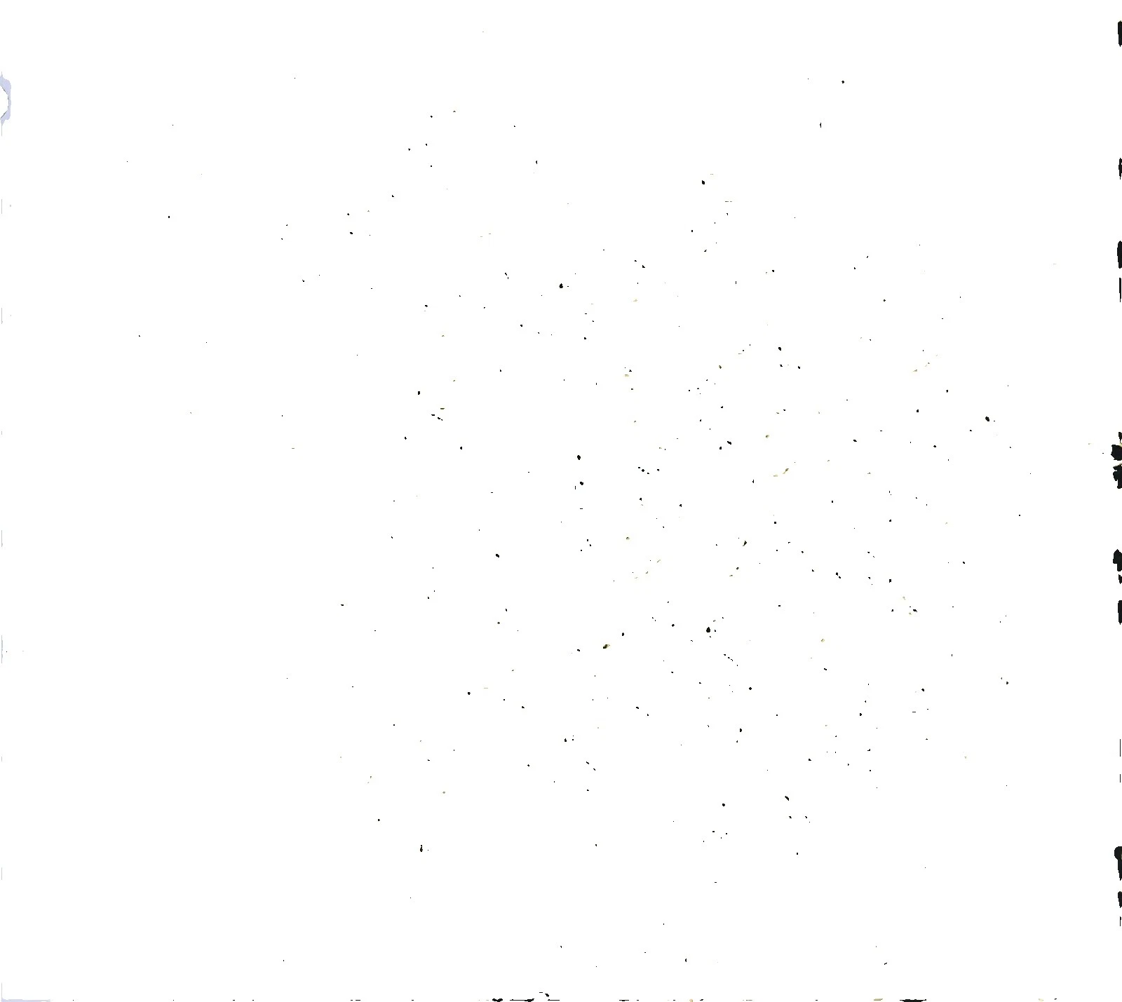 Géneros artesanales Santee Negro