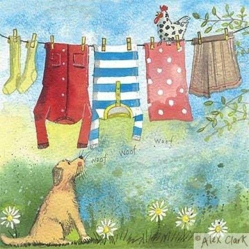 funny dog & chicken card washing line card Alex Clark