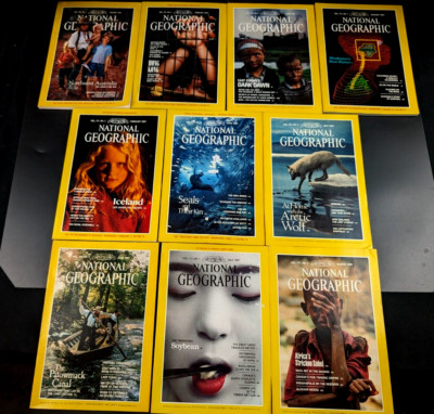 Vtg. National Geographic Magazines (Lot of 10) 1987 (7) 1991 (3)  No Duplicates
