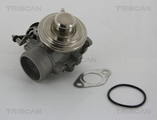 TRISCAN AGR Ventil 8813 29001 für GOLF VW SKODA A3 SEAT 1J1 8Z0 AUDI A2 NEW POLO