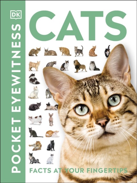Cats Facts at Your Fingertips by DK (Paperback Book)
