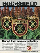 1983 Print Ad of Funk's G Hybrid Bug Shield Sorghum Seed