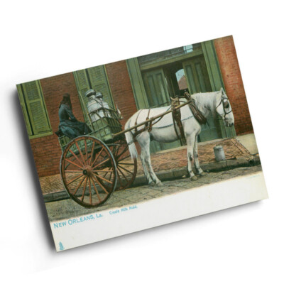A6 DRUCK - Vintage Louisiana USA - New Orleans. Kreolisches Milchmädchen
