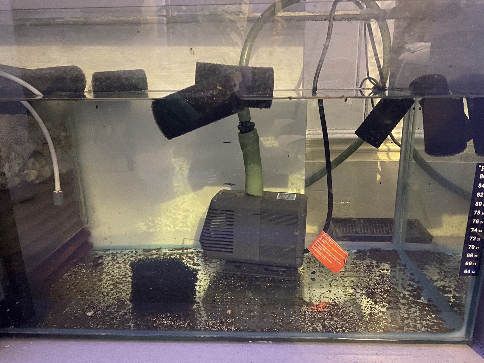 Custom Fish Tank Full Set Up eBay