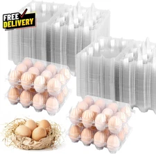 100 Pack 12 Count Plastic Egg Cartons Bulk Cheap Clear Reusable Egg Containers