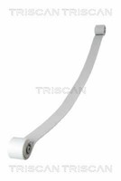 Triscan Federnpaket 8765 23034 FüR Mercedes 35 50 30 Crafter VW Bus TDI Sprinter