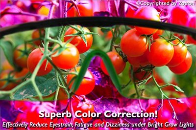 Grow Room Glasses Ultra Violet Eliminators LED Lights Hydroponic