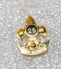 25 Year Volunteer Service Award Boy Scouts Gold Fleur des Lis Larger Version Y25