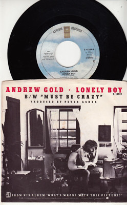 ANDREW GOLD - LONELY BOY - ORIGINAL ASYLUM RECORDS 45 WPS