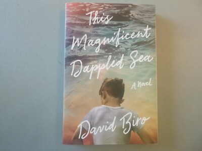 This Magnificent Dappled Sea by David Biro