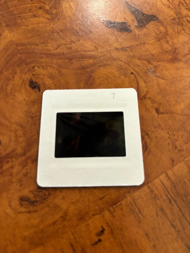 PLAYBOY PHOTO SHOOT Nude "Girls Of" SEC/BIG 12 /ACC ++ 35MM Slide (3996