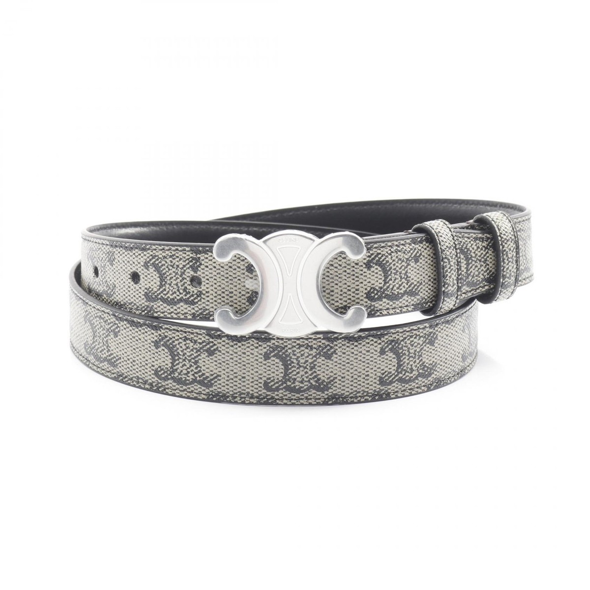CELINE Medium 25mm Triomphe Belt 45AKA2APM02SI85 canvas  display picture 1