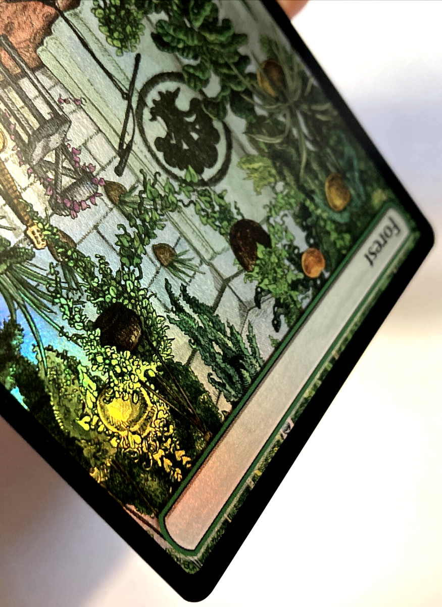 MTG Forest (Rainbow Foil) Secret Lair x KEXP 2080 NM | eBay