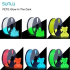 【BUY10 PAY 6】SUNLU 1.75mm PETG Glow In The Dark Filament Luminous For 3D Printer
