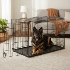48-Inch Two-Door iCrate Dog Crate with Divider & Leak-Proof Tray for XL Breeds