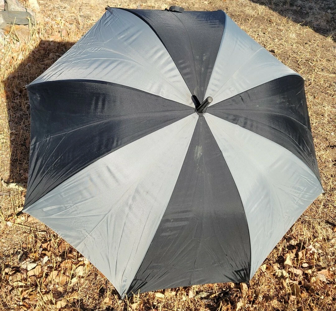 Best hotsell umbrella cane