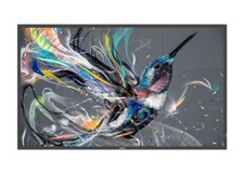 Philips Professional 65BDL4511 B-Line 65-inch Wall Mountable Television