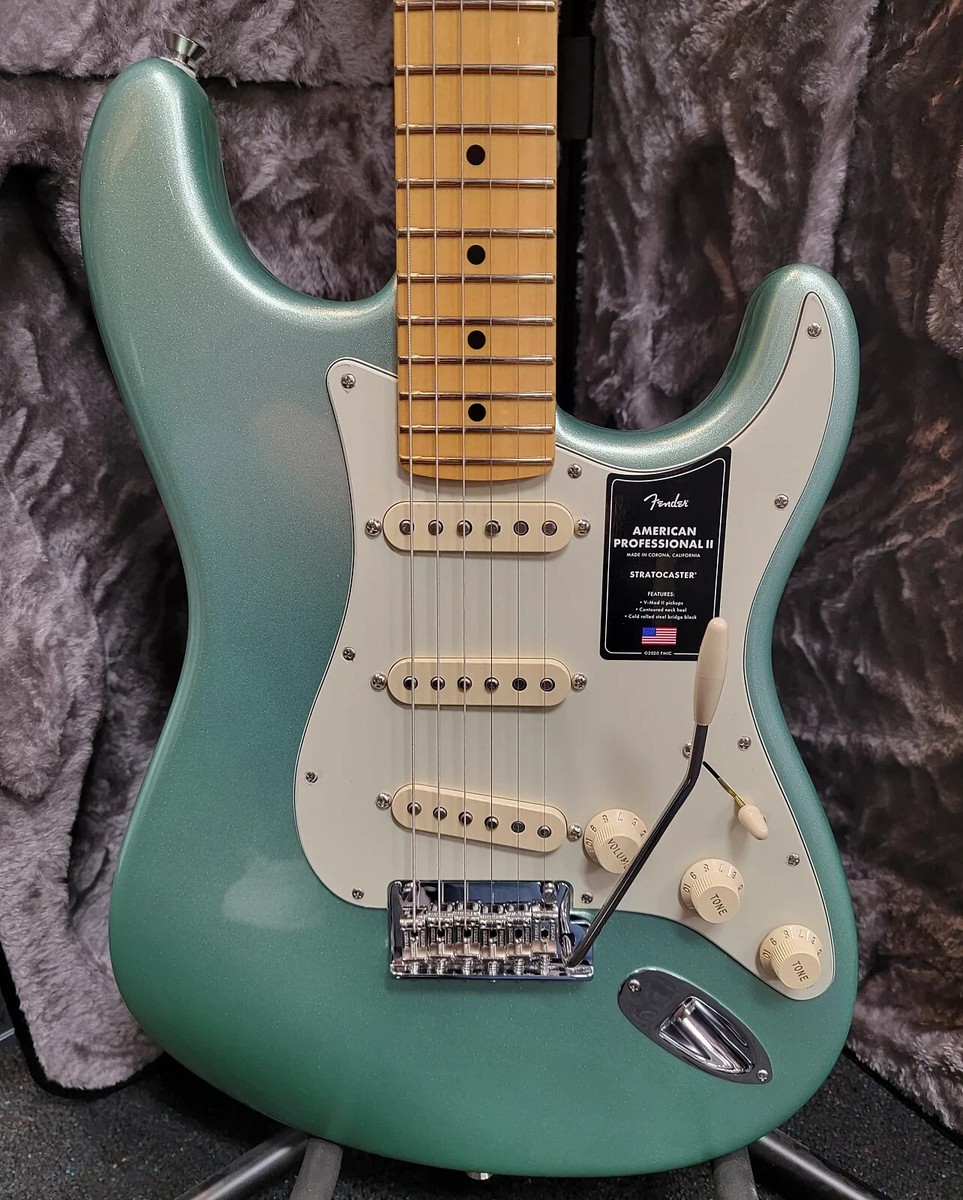 Fender American Professional Stratocaster 6 String Electric