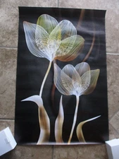 Set Of 3 canvas wall art 40 X 60 cm Unframed