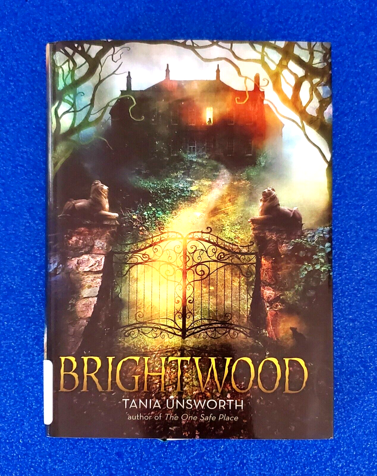 BRIGHTWOOD BY: TANIA UNSWORTH HARDCOVER NOVEL FICTION FAMILY FAVORITE SHIPS FREE