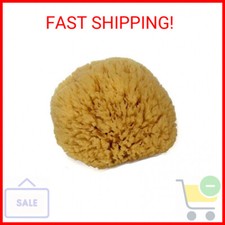 Natural Sea Sponge 6-7" by Spa Destinations Creating The at-Home Spa Experience
