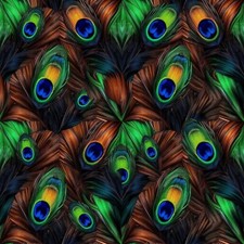 Digital picture Peacock Feathers JPEG printable file