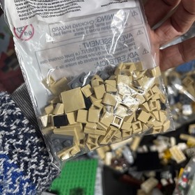 LEGO CREATOR PET SHOP BRIDGE CHANGING SEASONS NEAR COMPLETE MANUAL MINIFIGURES