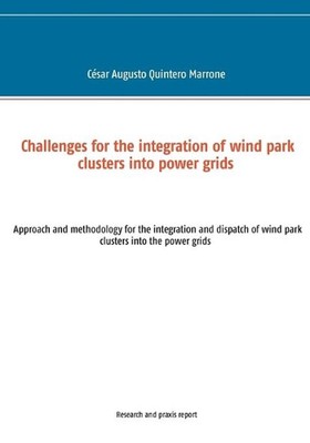 Challenges for the integration of wind park clusters into power grids: Approach 