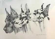 Great  Dane heads Ltd Ed signed print by Martha Van Loan 20 x24