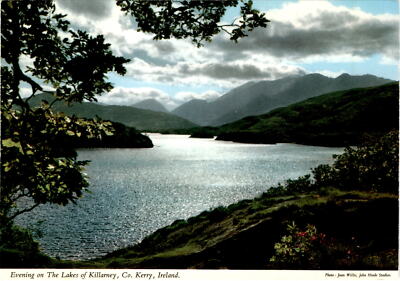 Co. Kerry, Ireland, Lakes of Killarney, Joan Willis, John Hinde Postcard