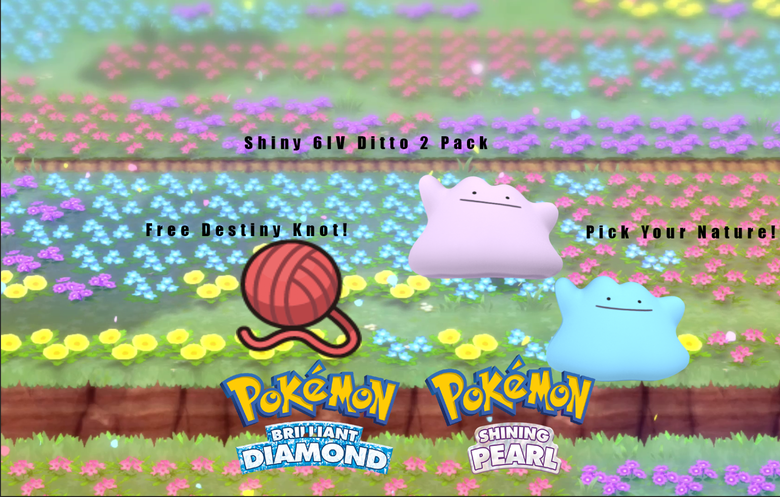 Shiny Ditto 2 Pack 6 IV, Pokemon Brilliant Diamond/Shining Pearl