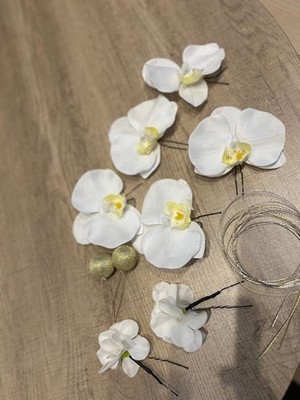 Phalaenopsis and others
