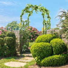 Garden Arch Arbor Trellis 7.2 ft Metal Archway Patio Pergola for Climbing Plants