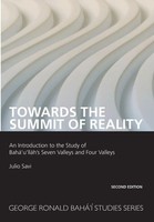 Towards The Summit Of Reality Julio Savi Taschenbuch Englisch 2024