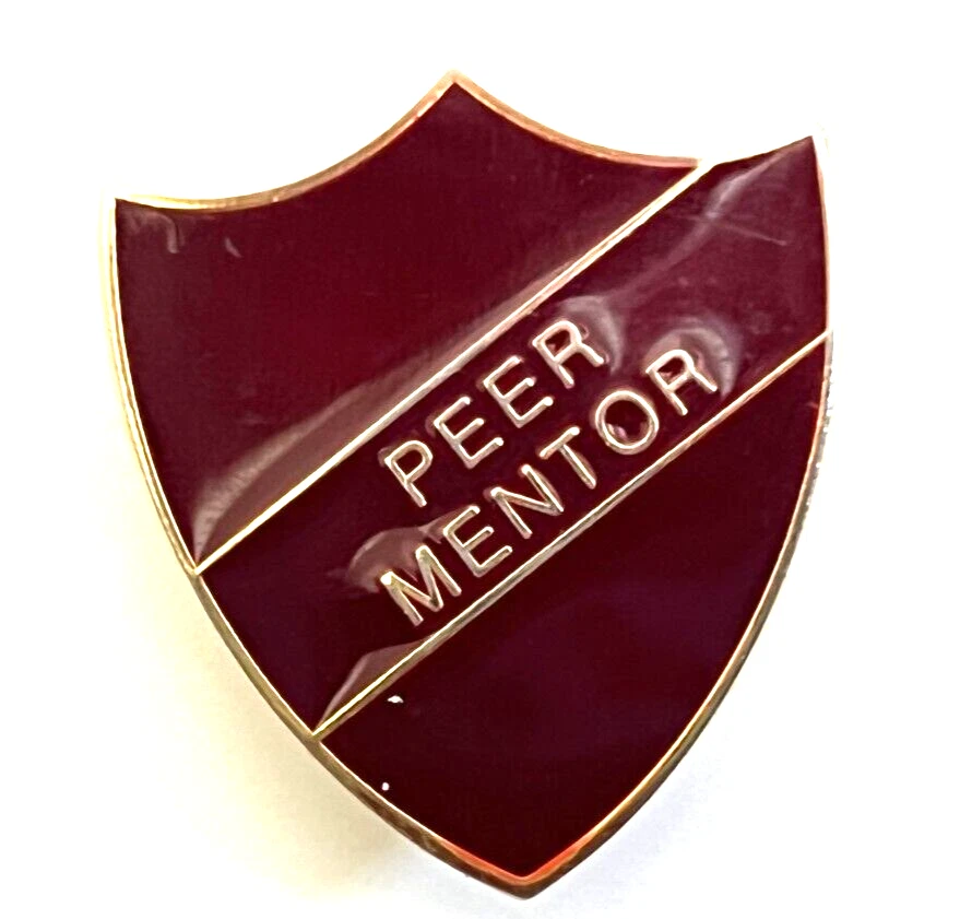 Early 2000's School Peer Mentor Enamel Badge By Fattorini 32 x 30 mm - Image 3 of 3
