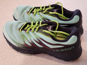 salomon sense link