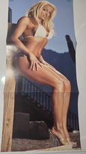 Trish Stratus , Dawn Marie Double Sided Mini Poster WWF Wwe Divas Raw Smackdown